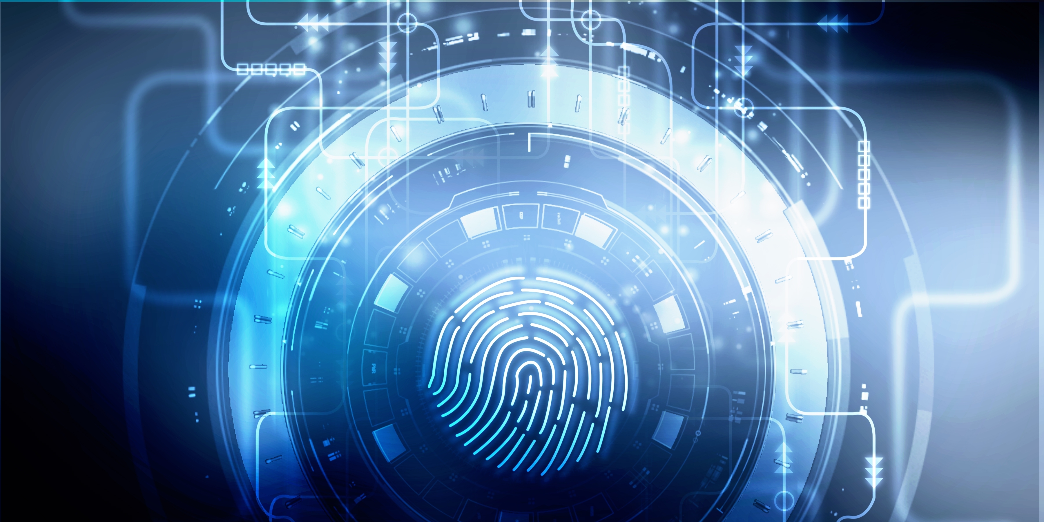 digital fingerprint 