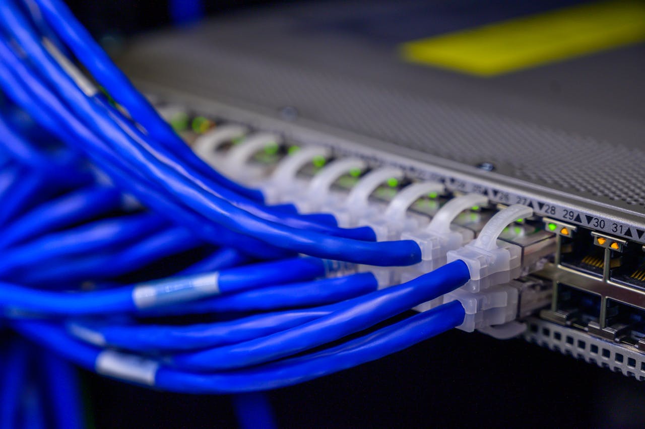 blue wires plugged in 